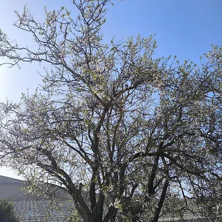 Hacienda Vinum Solis Jerez de la Frontera